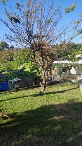 WhatsApp-Image-2025-09-23-at-15.13.40