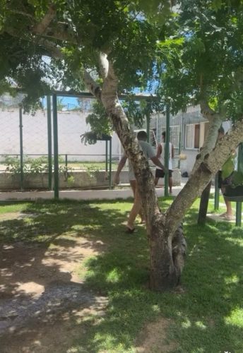 WhatsApp-Image-2025-09-23-at-15.53.21